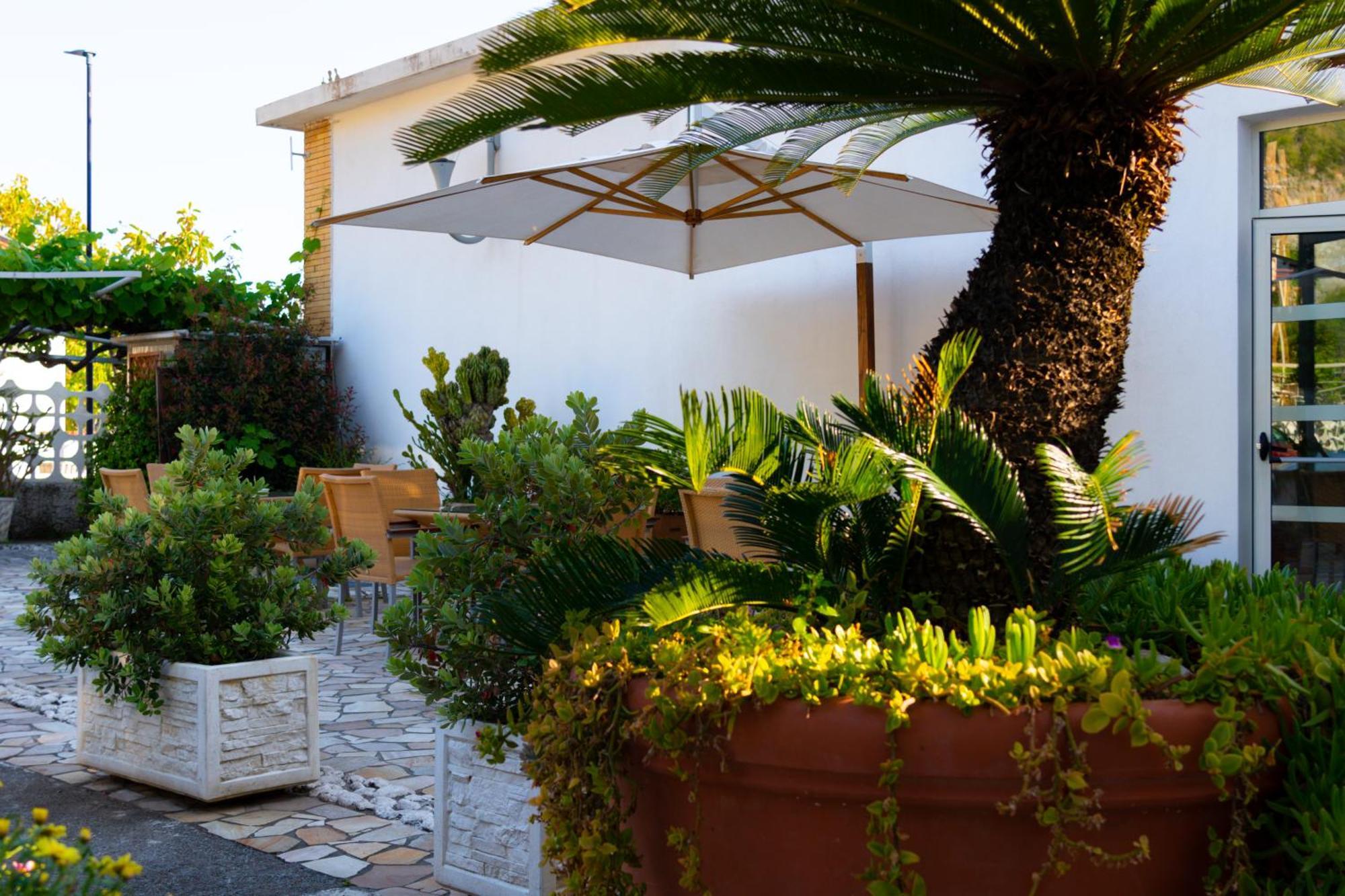 Hotel Garden Praia a Mare Eksteriør billede